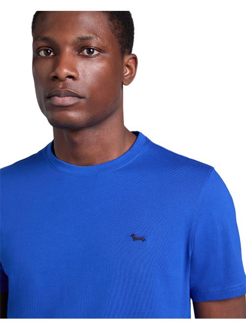 INQ001021055844 BLU HARMONT&BLAINE | INQ001021055844 BLU